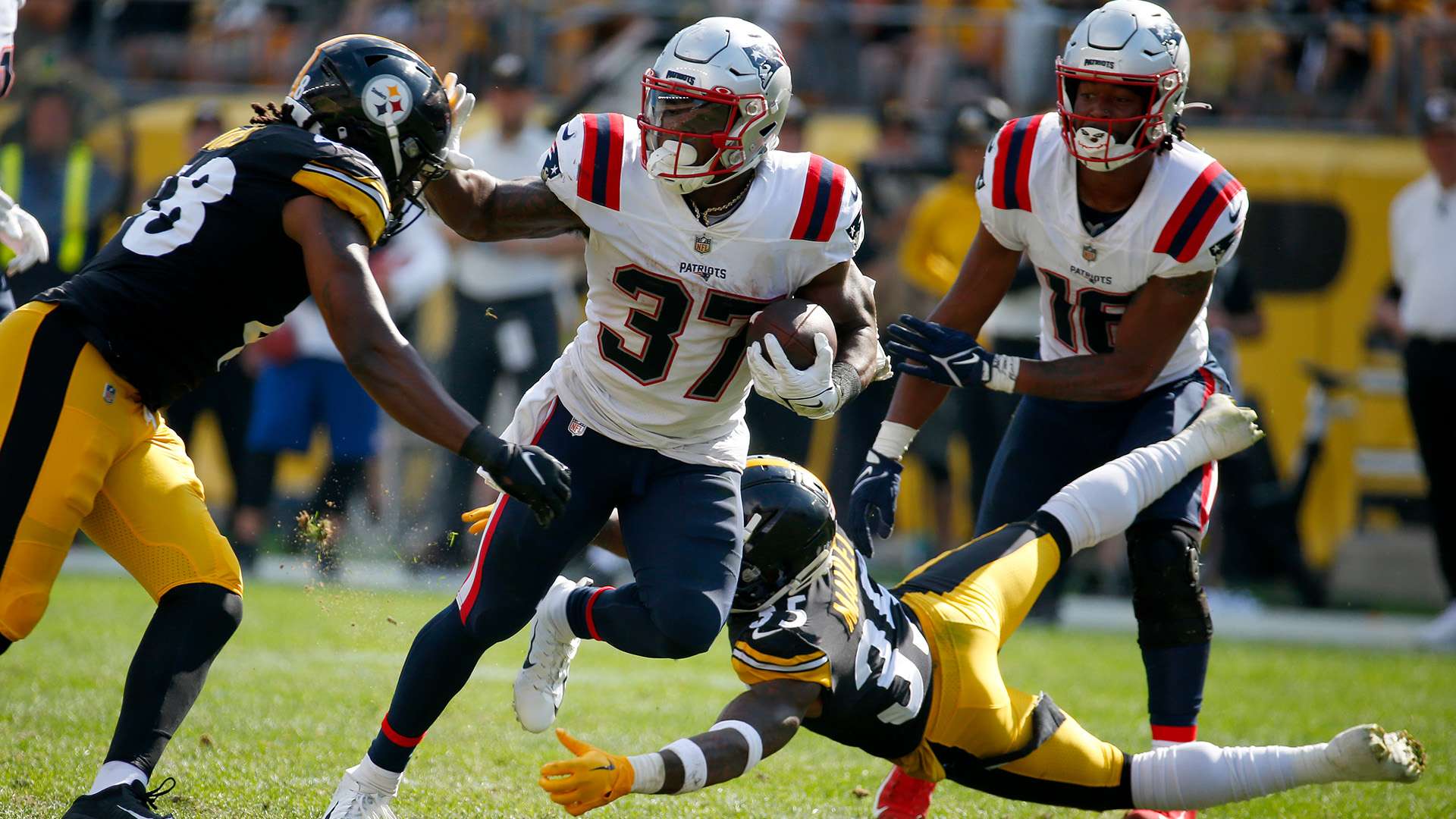 晚的主角 晚的主角